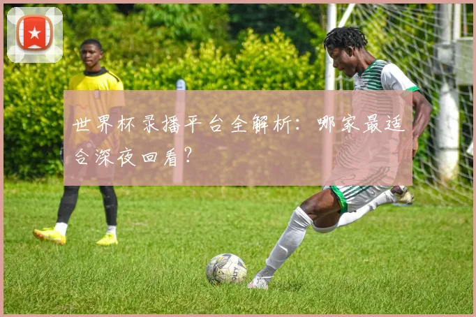 世界杯录播平台全解析：哪家最适合深夜回看？