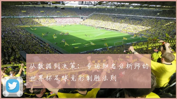 从数据到决策：专访知名分析师的世界杯足球竞彩制胜法则