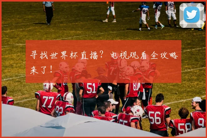 寻找世界杯直播?电视观看全攻略来了!