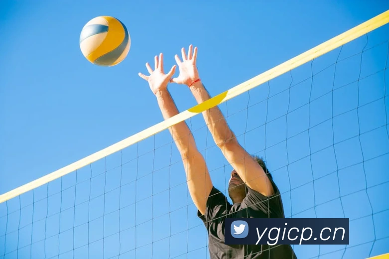 乐鱼在线登录入口官网平台生态图