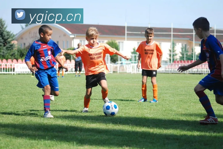 乐鱼在线登录入口官网APP 封面图